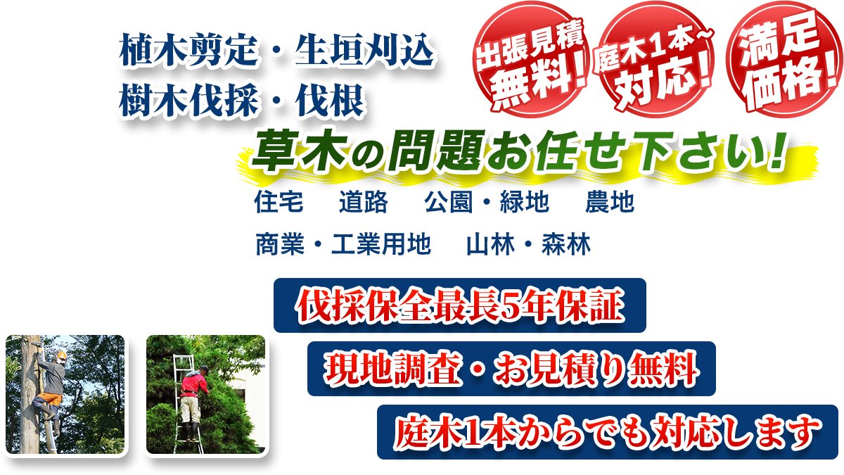 伊豆市エリア即対応!! 出張無料! 庭木1本~対応! 満足価格! 植木剪定・生垣刈込 樹木伐採・伐根 草木の問題お任せ下さい! 住宅 道路 公園・緑地 農地 商業・工業用他 山林・森林 伐採保全最長5年保証 現地調査・お見積り無料 庭木1本からでも対応します