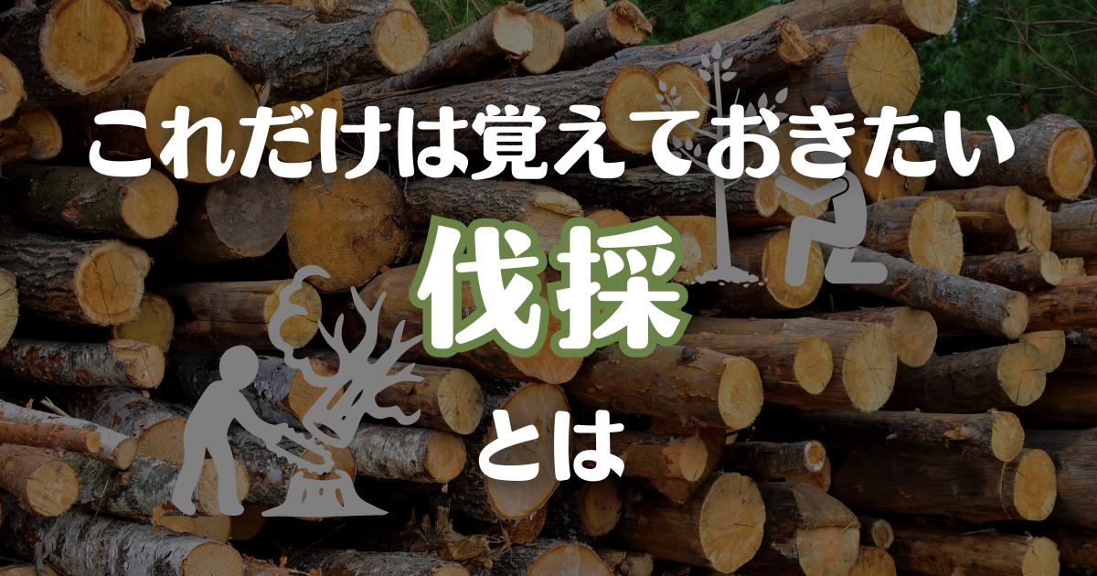 伐採とは?単に木を切るだけなの?? - 緑真園